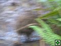 thn_steward island 028.jpg